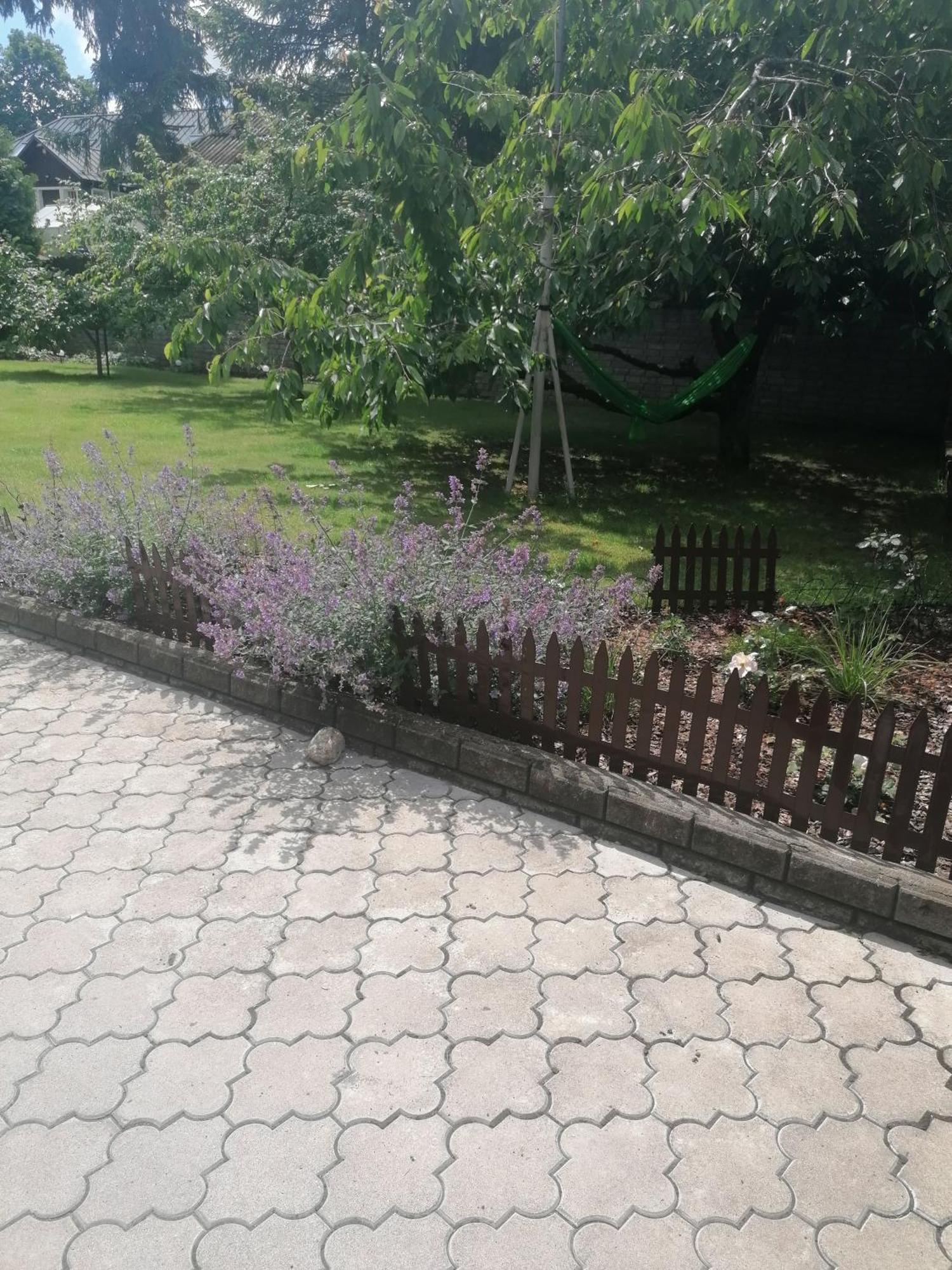 Apartment In Central Тракай Екстериор снимка